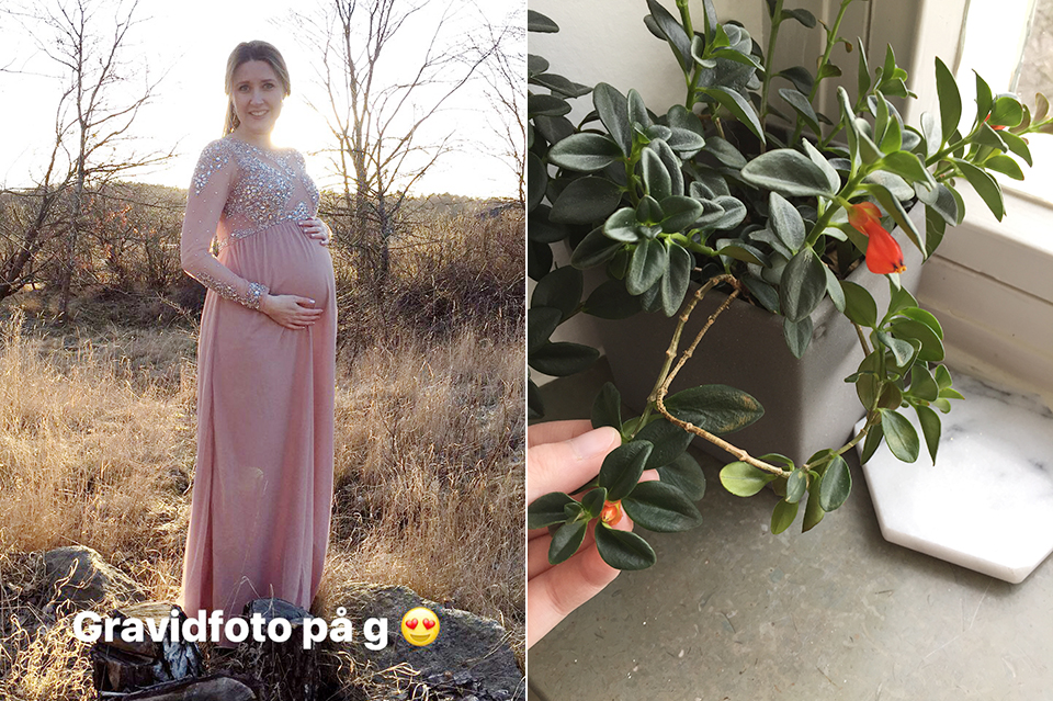 fotograf maria ekblad nyföddfotograf i göteborg