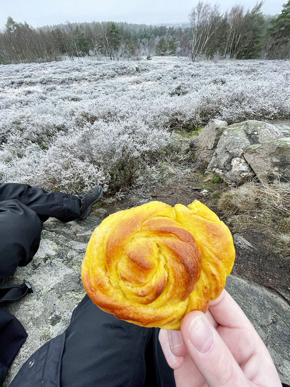 fotograf maria ekblad nyföddfotograf i göteborg